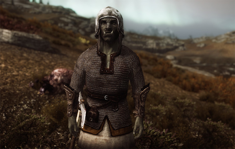 Viking Chainmail Armor Screenshot