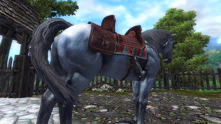 Horses Retexture Mod for Oblivion