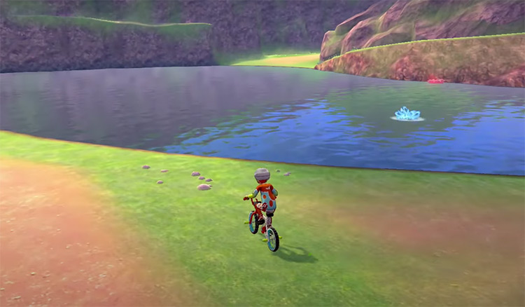Wild Area in Pokémon Sword & Shield screenshot