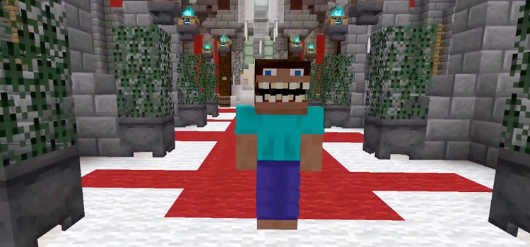 Weird Steve Face Skin in Minecraft
