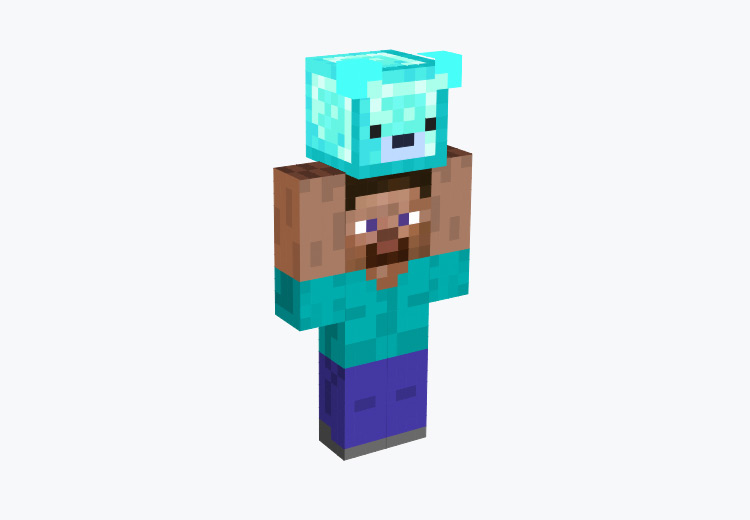 Mini-Steve Character / Minecraft Skin