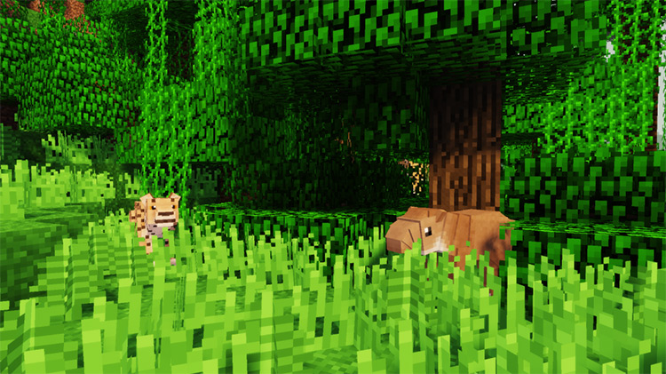 Zoo & Wild Animals Rebuilt / Minecraft Mod Preview