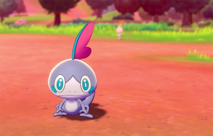 Shiny Sobble in Pokémon Sword (Camp)
