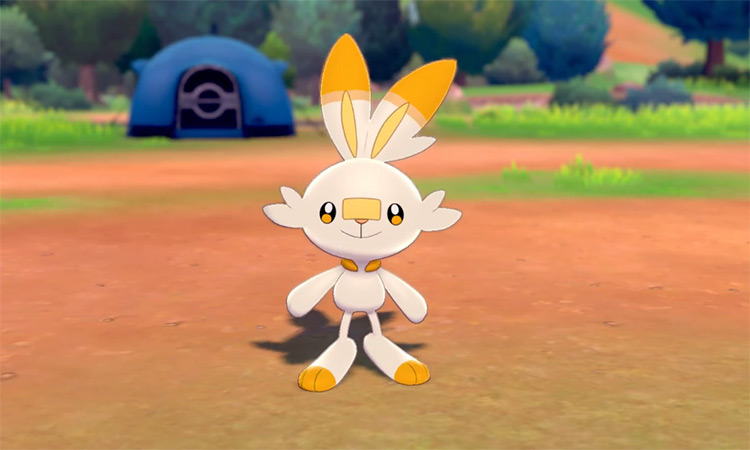 Shiny Scorbunny in Pokémon SW/SH camp