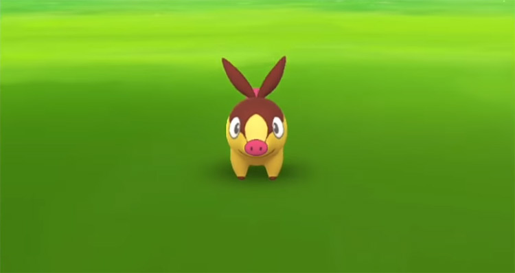 Shiny Tepig in Pokémon GO