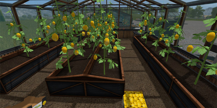 Giants GreenHouses Placeable Farming Simulator 17 mod