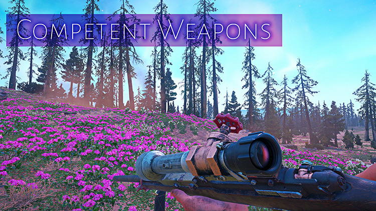 Competent Weapons Mod title