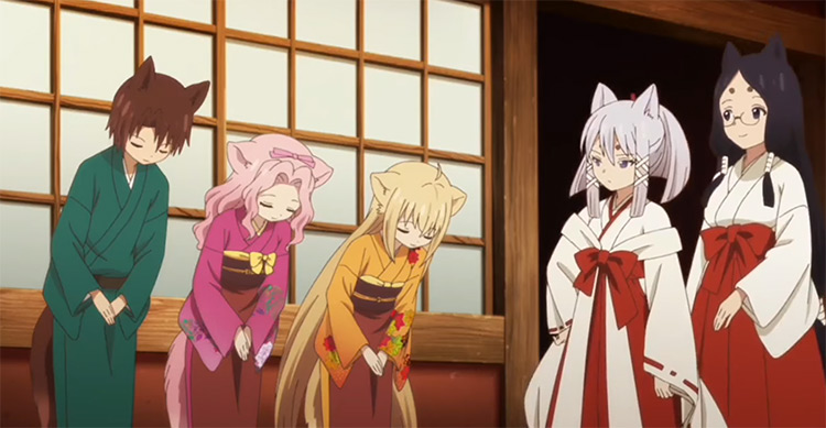 Cute fox girls in Konohana Kitan Anime