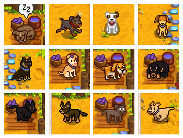 Froststar11’s Canine Collection Mod for Stardew Valley