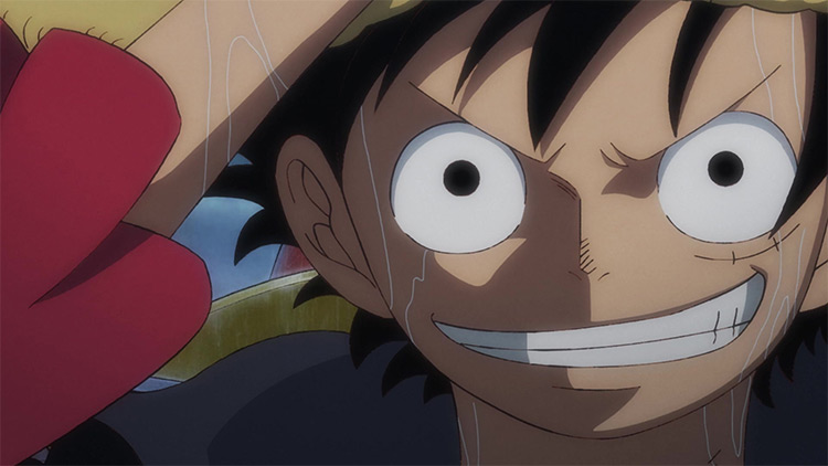 Monkey D. Luffy from One Piece screenshot