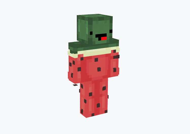Watermelon Character with Derp Face / Minecraft Skin