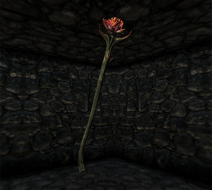 Sanguine Rose in Skyrim