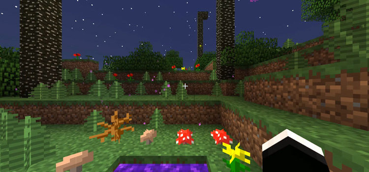 Minecraft detailed screenshot at night