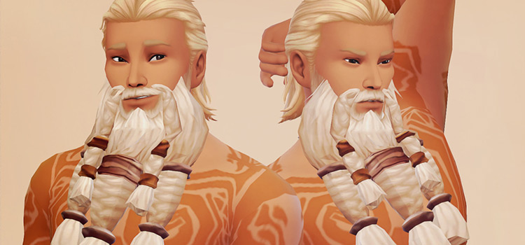 Stormheim viking beard mod for TS4