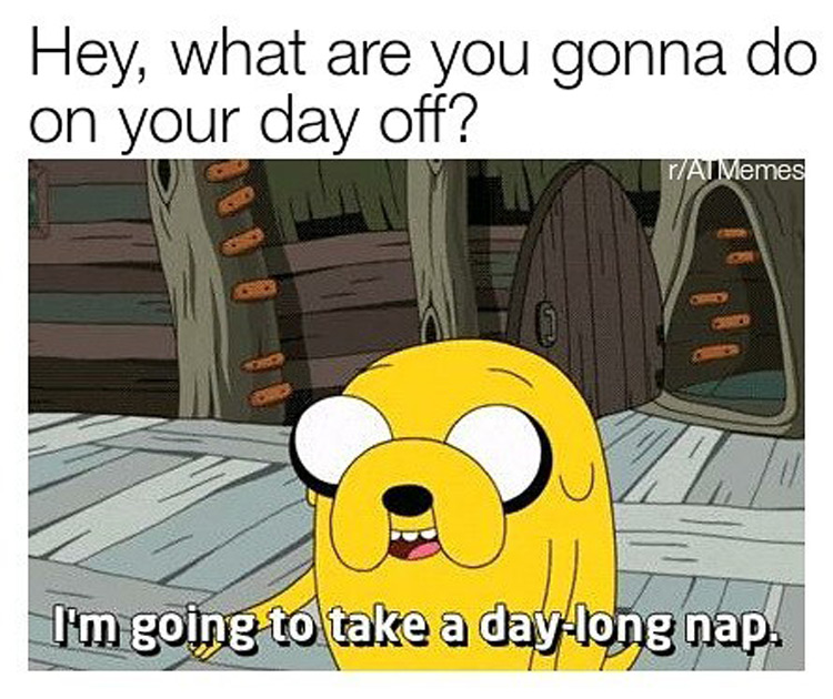 Taking a day long nap meme