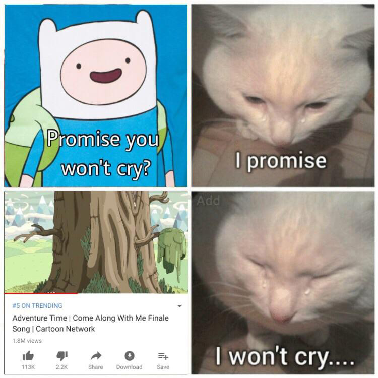 Promise you wont cry meme