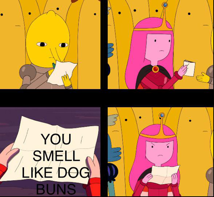 You smell like dog buns meme