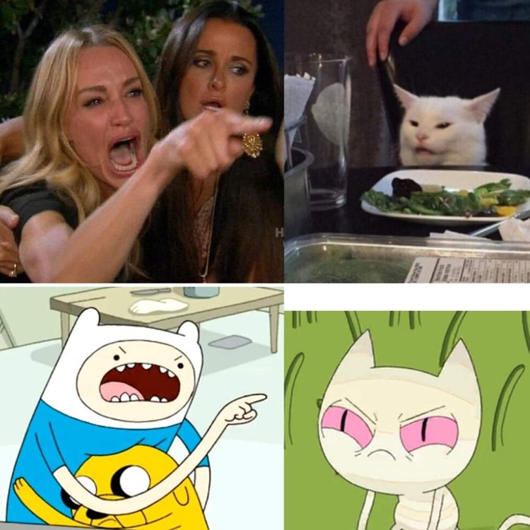 Angry Finn Jake cat meme