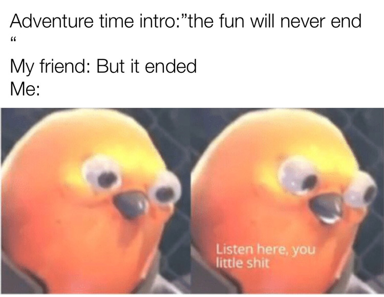 Adventure time ends - Listen here you little shit meme
