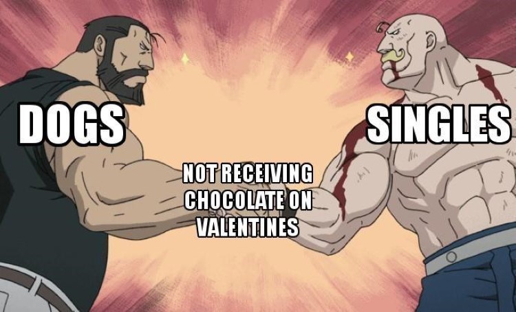 Dogs and Singles, not receiving chocolate on valentines day