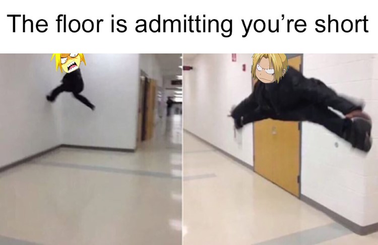 The floor is admitting youre short meme