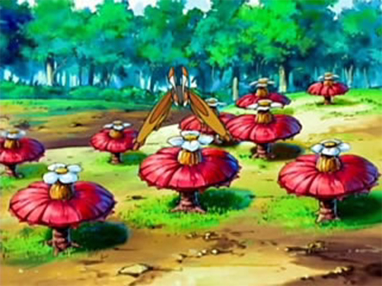 Pomeg Berry Flowers in Pokemon Anime