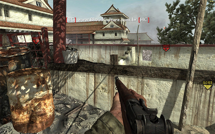 W@W Frontlines Call of Duty mod screenshot