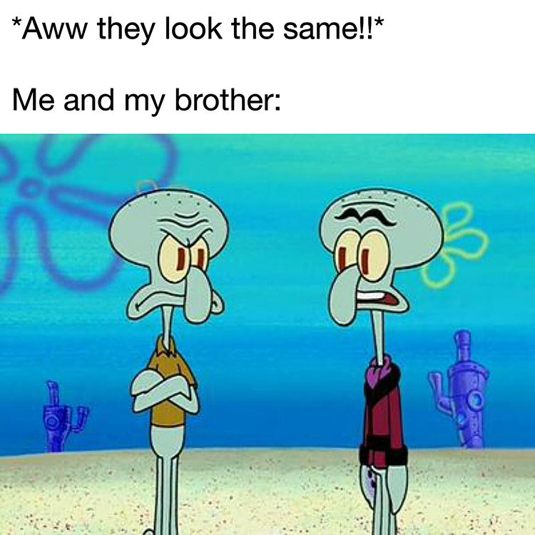 Twin brothers Squidward Squilliam meme