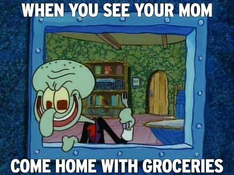 Mom has groceries meme