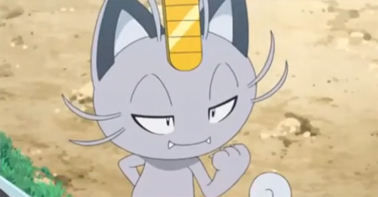 Alolan Meowth anime screenshot