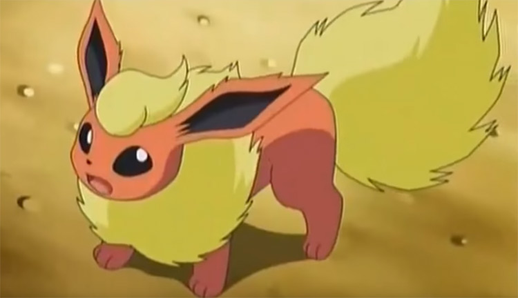 Flareon in the Pokemon anime
